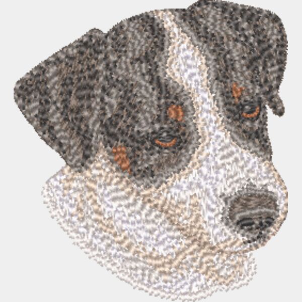 Jack Russel Terrier Kopf 7 Miniaturansicht