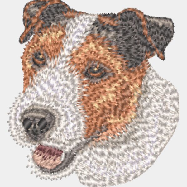 Jack Russel Terrier Kopf 9 Miniaturansicht