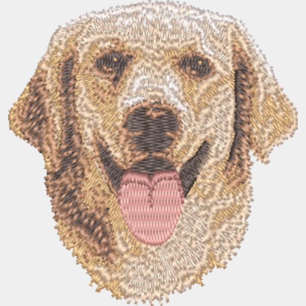 Golden Retriever Kopf 1 Miniaturansicht