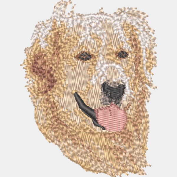 Golden Retriever Kopf 3 Miniaturansicht