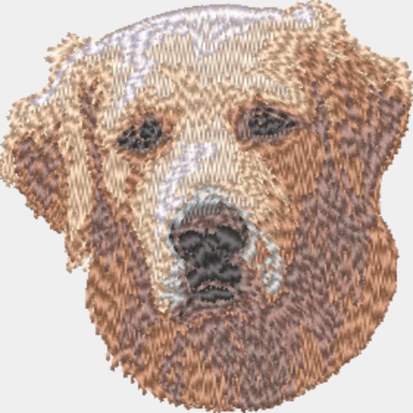 Golden Retriever Kopf 4 Miniaturansicht