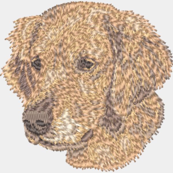 Golden Retriever Kopf 5 Miniaturansicht