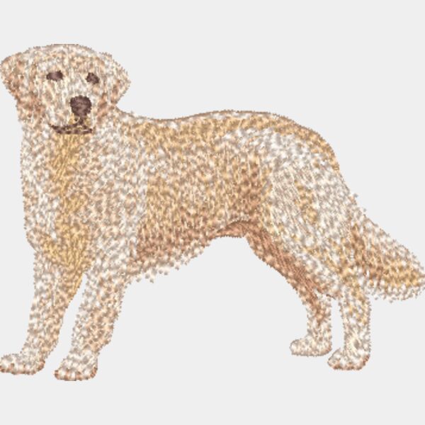 Golden Retriever Körper 3 Miniaturansicht