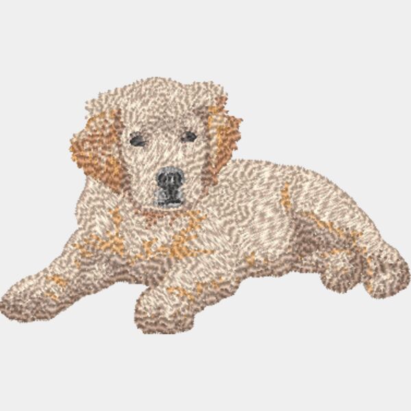 Golden Retriever Koerper 4 Miniaturansicht