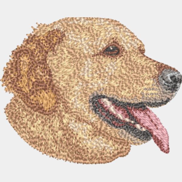 Golden Retriever Kopf 6 Miniaturansicht