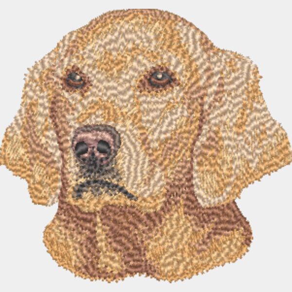 Golden Retriever Kopf 8 Miniaturansicht