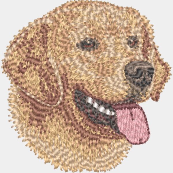 Golden Retriever Kopf 9 Miniaturansicht