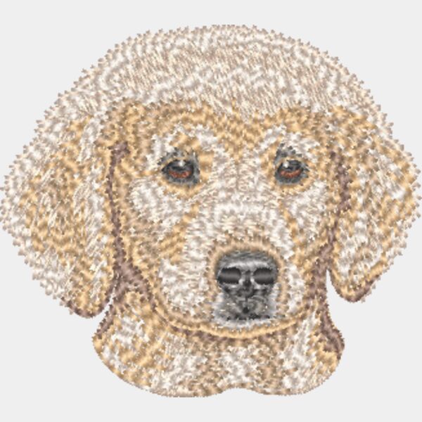Golden Retriever Welpe 3 Miniaturansicht